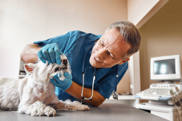 Best Emergency Dental Extractions in Homewood, AL